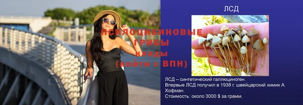 винт Арсеньев