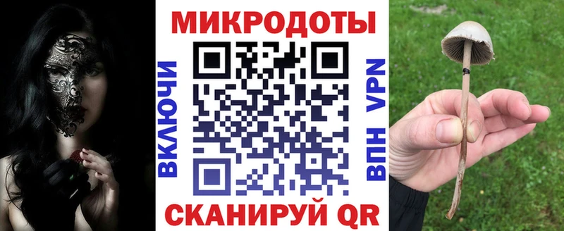 Псилоцибиновые грибы Cubensis  Усолье 